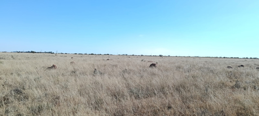 0 Bedroom Property for Sale in Petrusburg Free State